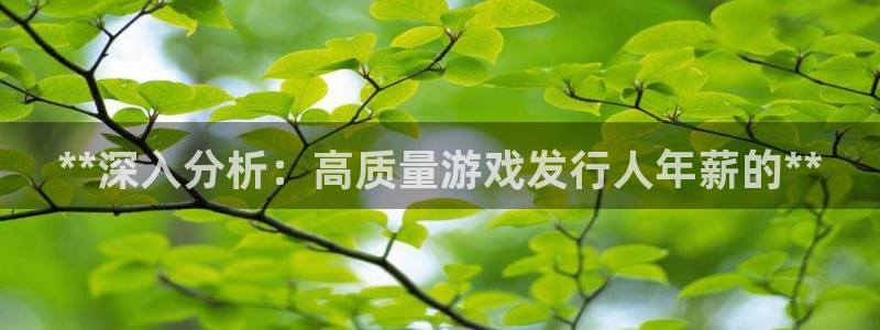 顺盈娱乐官网首页入口下载：**深入分析：高质量游戏发行人年薪的**