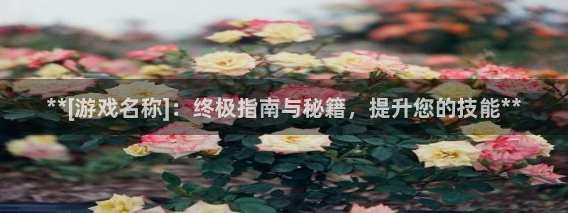 顺盈娱乐用什么加速器可以登录账号和密码：**[游戏名称]：终极指南与秘籍，提升您的技能**