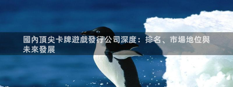 顺盈娱乐的员工待遇怎么样啊：國內頂尖卡牌遊戲發行公司深度：排名、市場地位與
未來發展