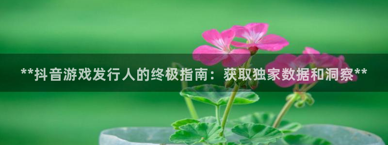顺盈娱乐平台注册流程图片下载：**抖音游戏发行人的终极指南：获取独家数据和洞察**