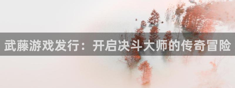 顺赢娱乐：武藤游戏发行：开启决斗大师的传奇冒险