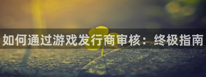 顺盈平台注册开户流程：如何通过游戏发行商审核：终极指南