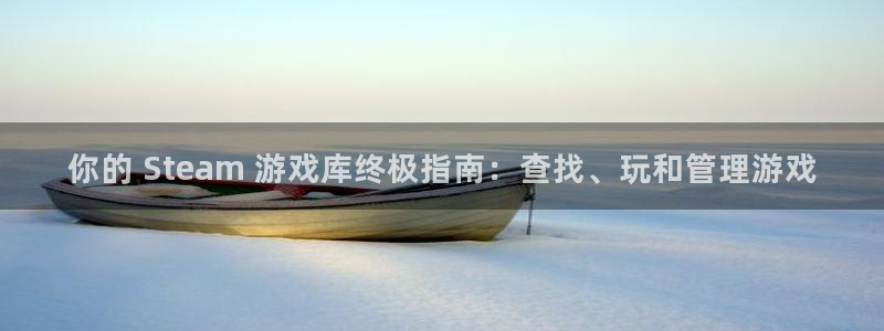 顺盈娱乐平台：你的 Steam 游戏库终极指南：查找、玩和管理游戏