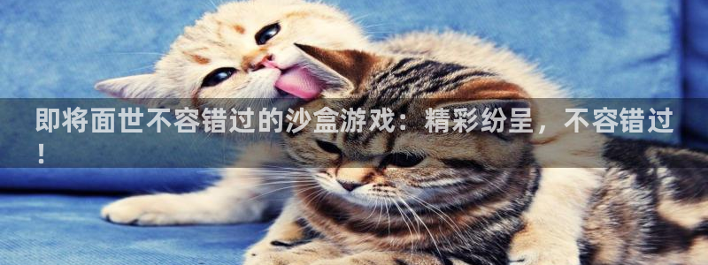 顺盈娱乐平台注册流程图片下载：即将面世不容错过的沙盒游戏：精彩纷呈，不容错过
！