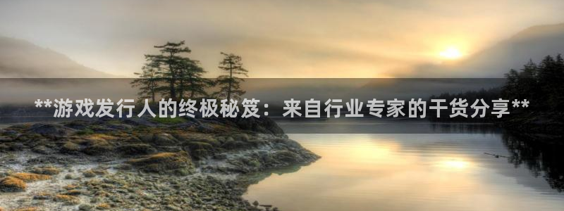顺盈娱乐官网首页入口下载：**游戏发行人的终极秘笈：来自行业专家的干货分享**
