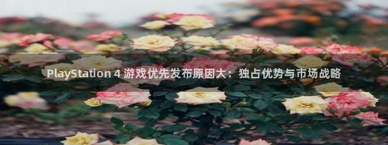 顺盈娱乐官网首页网址是什么