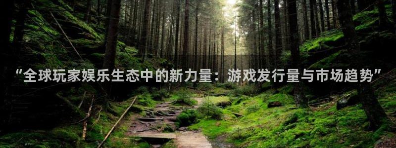 顺盈娱乐平台最新活动时间