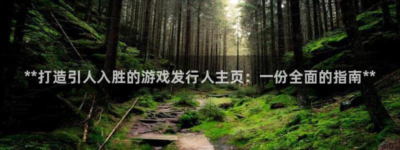 顺盈娱乐登录平台是什么意思：**打造引人入胜的游戏发行人主页：一份全面的指南**