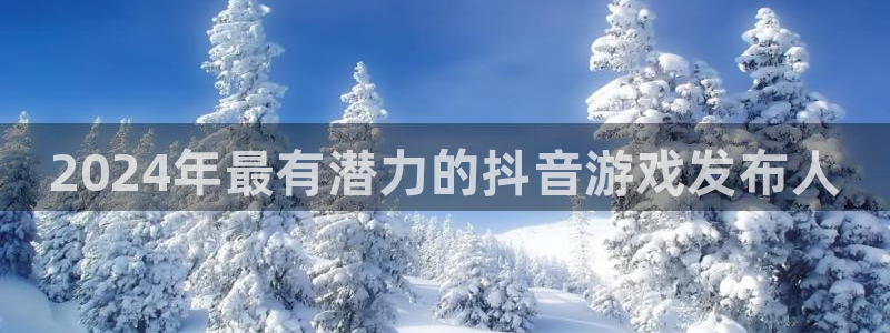 顺盈平台注册资金多少：2024年最有潜力的抖音游戏发布人