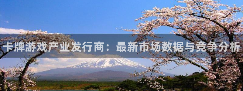 顺盈平台主管：卡牌游戏产业发行商：最新市场数据与竞争分析