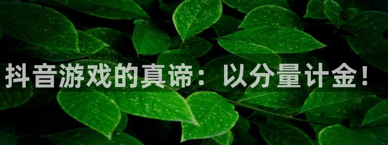顺盈娱乐登录平台下载安装最新版：抖音游戏的真谛：以分量计金！
