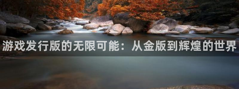 顺赢商贸有限公司：游戏发行版的无限可能：从金版到辉煌的世界