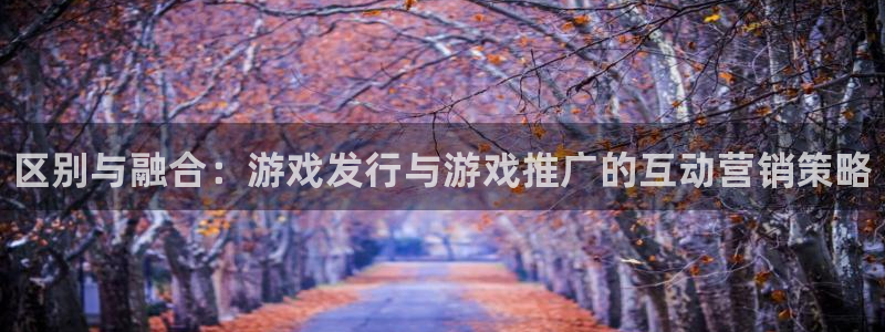 顺盈娱乐平台最新活动信息：区别与融合：游戏发行与游戏推广的互动营销策略