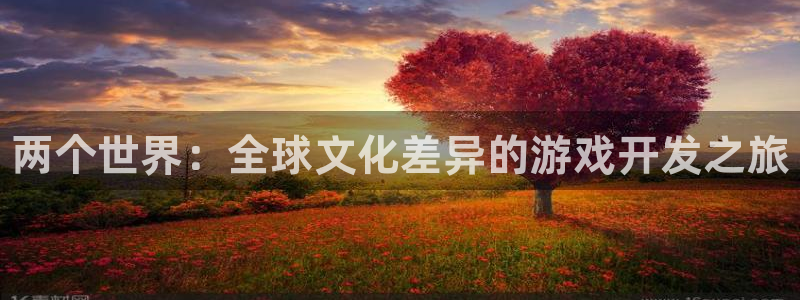 顺盈娱乐平台提现被关闭怎么回事儿：两个世界：全球文化差异的游戏开发之旅