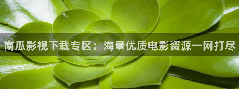 驰策驰影院理论：南瓜影视下载专区：海量优质电影资源一网打尽