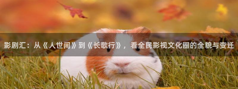 驰策影院在线观看：影剧汇：从《人世间》到《长歌行》，看全民影视文化圈的全貌与变迁