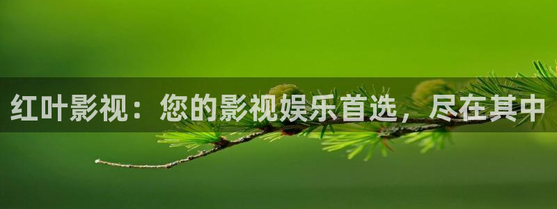 驰策驰影院电视剧免费：红叶影视：您的影视娱乐首选，尽在其中