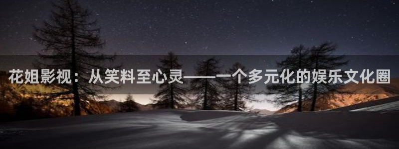 驰策影院2023：花姐影视：从笑料至心灵——一个多元化的娱乐文化圈