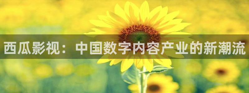 驰策驰影院理论：西瓜影视：中国数字内容产业的新潮流