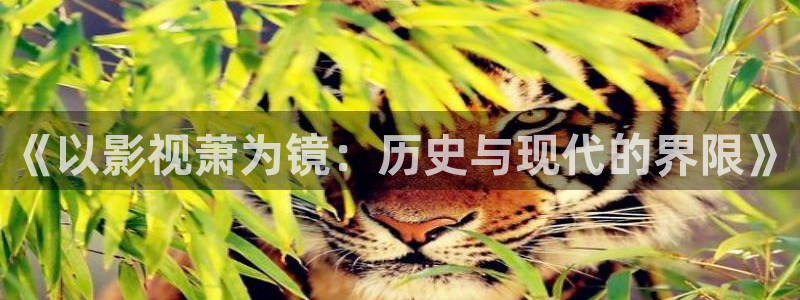 驰策驰影院 电视剧免费：《以影视萧为镜：历史与现代的界限》